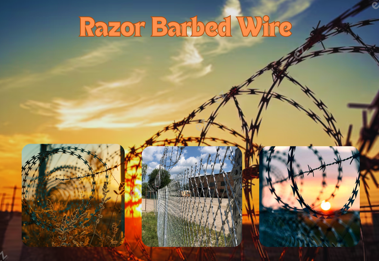 Razor Barbed Wire